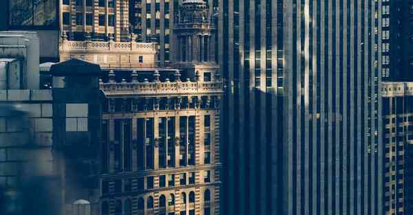 金融财政属于什么专业