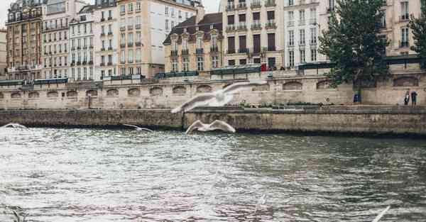宣传片背景音乐卡点_宣传片背景音乐2分30秒