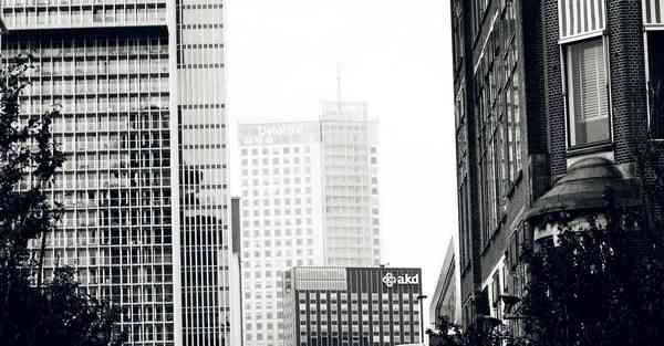 教育培训加盟店有哪些_教育培训加盟店