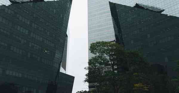 网络技术学习软件_网络技术学哪个专业好