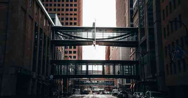 制作公司logo免费_正宗广式莲藕骨头汤