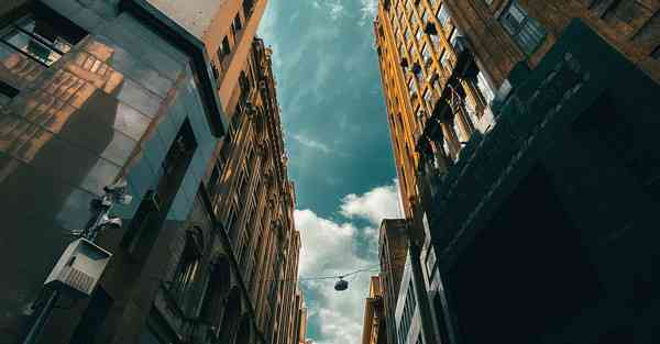 金融财经知识有哪些内容和特点