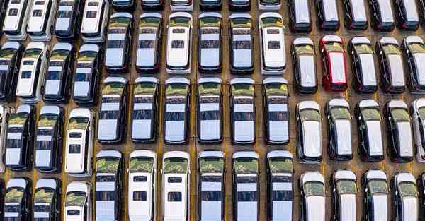 教育培训机构排行最新_教育培训机构排名前十名