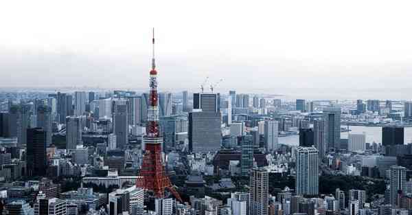 金融财经推荐的股票