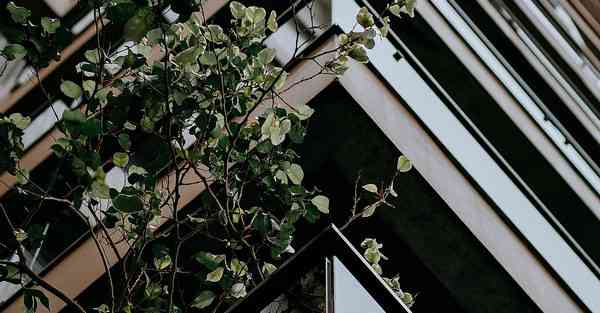 宣传片视频制作拍摄团队