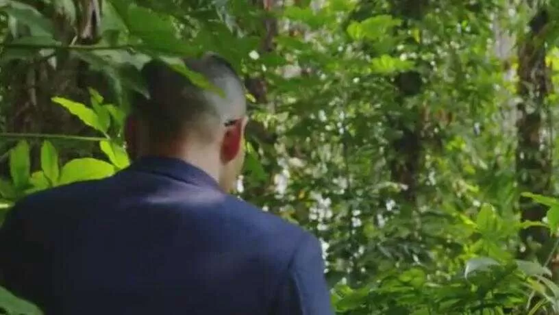 百得胜橱柜宣传片
