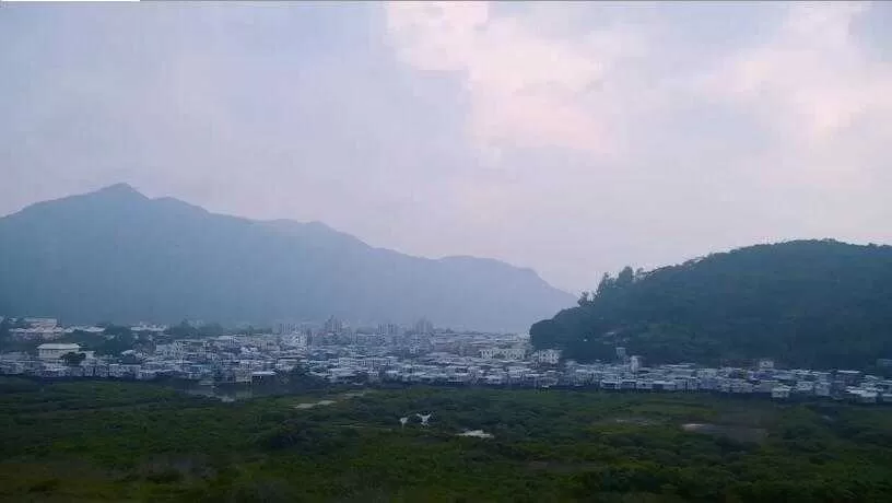 绿叶居 伍仁月饼